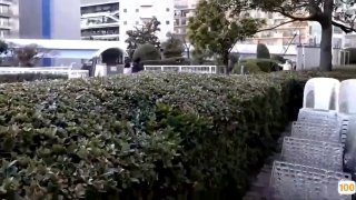 欧美一区二区激情综合